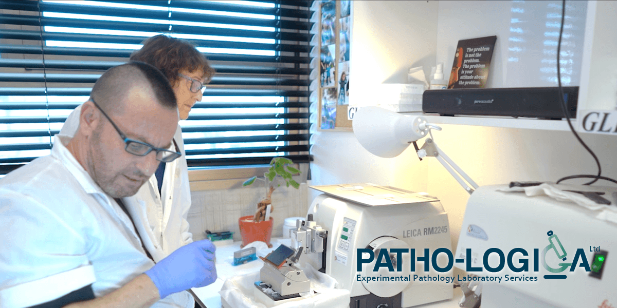 Pathologica Experimental Pathology Laboratory Services 1872